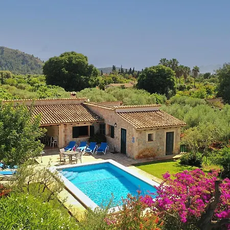 Oliveres Villa Pollença